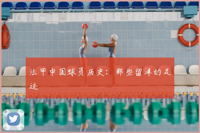 法甲中国球员历史:那些留洋的足迹